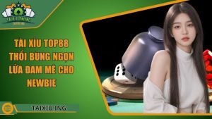 Ảnh đại diện Tài Xỉu Top88