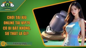 Chơi Tài Xỉu Online Tại Vip79 Có Bị Bắt Không, Sự Thật Là Gì?